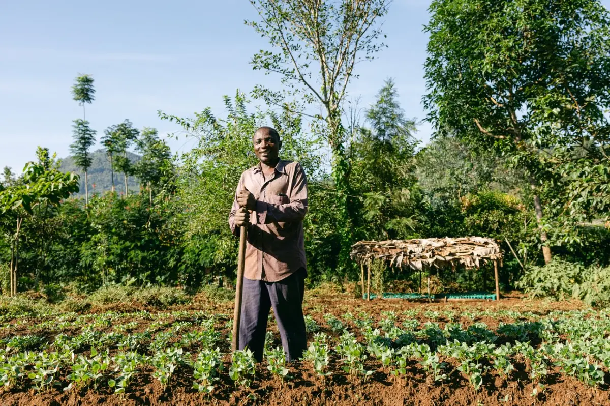 A farmer standing among young trees and crops in a forest garden